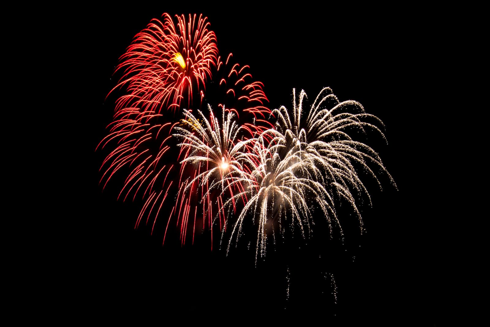 fireworks Your Rights After Fireworks Injuries: Guidance from Nance Cacciatore